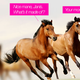 Illustration for article titled Sorry, Preteens, Horses Are Mean Girls Too